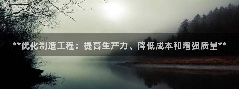 彩神ix官网是哪个公司的：**优化制造工程：提高生产力、降低成本和增强质量**