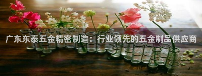 新版彩神v8登录不了：广东东泰五金精密制造：行业领先的五金制品供应商