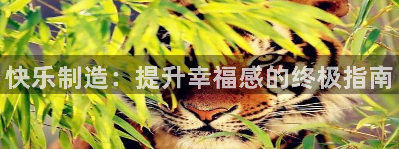 彩神购彩-购彩大厅入口下载：快乐制造：提升幸福感的终极指南
