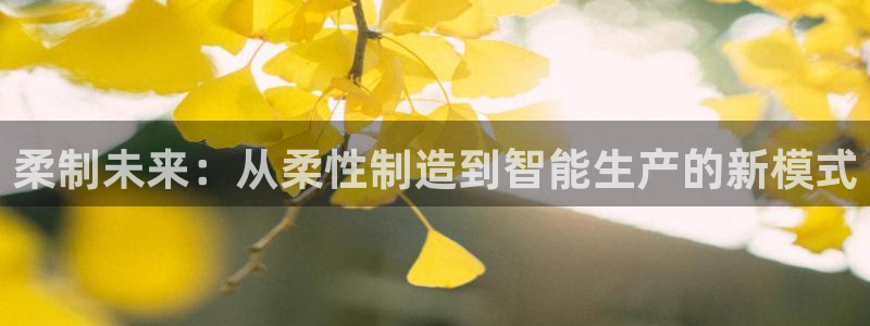 彩神购彩-购彩大厅入口：柔制未来：从柔性制造到智能生产的新模式