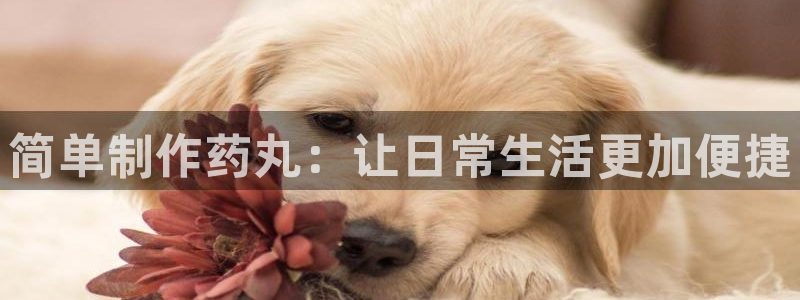 彩神v集团有限公司：简单制作药丸：让日常生活更加便捷