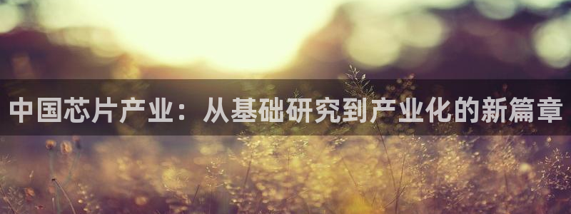 彩神通关注码金码对应码：中国芯片产业：从基础研究到产业化的新篇章