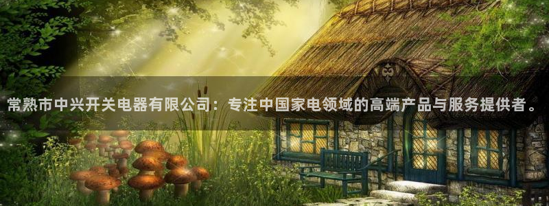 彩神赢钱了吗是真的吗：常熟市中兴开关电器有限公司：专注中国家