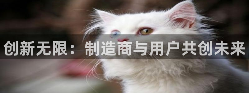 彩神v8手机客户端下载：创新无限：制造商与用户共创未来