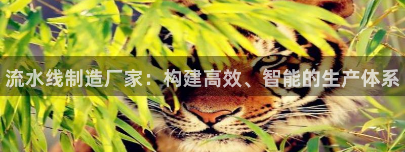 天天彩神welcome：流水线制造厂家：构建高效、智能的生产体系