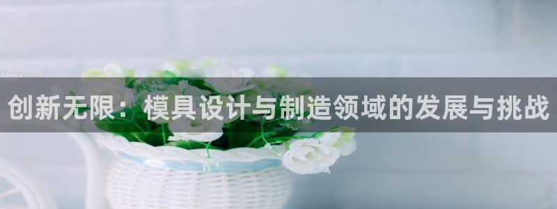 彩神购彩购彩大厅入口v：创新无限：模具设计与制造领域的发展与挑战
