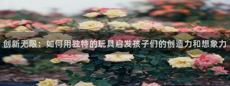 彩神大发三期计划网站：创新无限：如何用独特的玩具启发孩子们的创造力和想象力