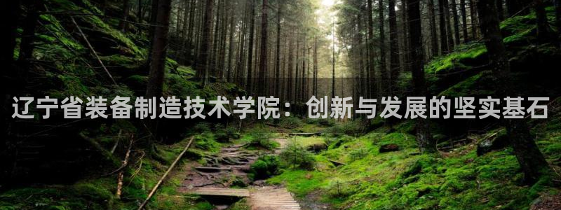 彩神系列平台：辽宁省装备制造技术学院：创新与发展的坚实基石