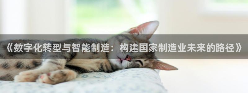 彩神争霸老平台：《数字化转型与智能制造：构建国家制造业未来的路径》