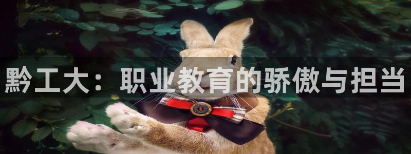 彩神团队是真的吗：黔工大：职业教育的骄傲与担当