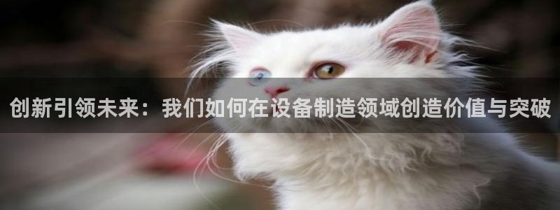 彩神网可以赚钱是真的吗：创新引领未来：我们如何在设备制造领域创造价值与突破