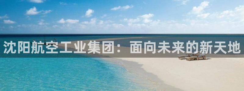彩神v违法么：沈阳航空工业集团：面向未来的新天地