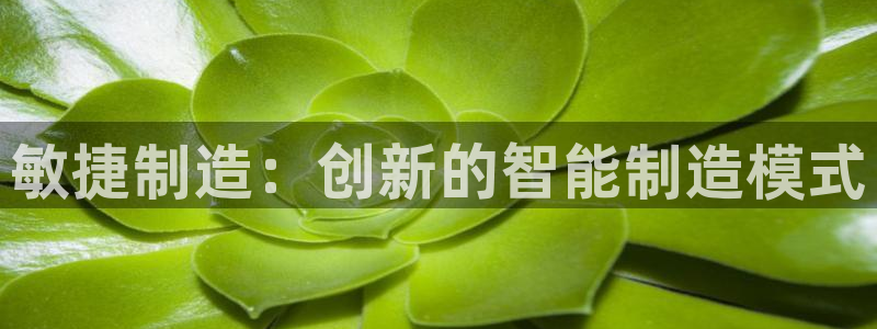彩神8官网合法吗：敏捷制造：创新的智能制造模式