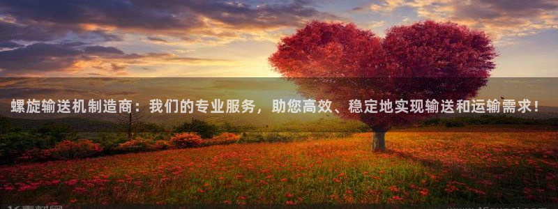 彩神8软件下载：螺旋输送机制造商：我们的专业服务，助您高效、稳定地实现输送和运输需求！