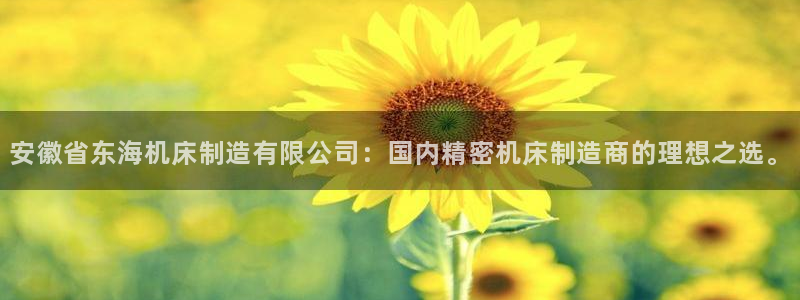 彩神购彩-购彩大厅入口500：安徽省东海机床制造有限公司：国内精密机床制造商的理想之选。