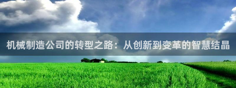 彩神争霸老平台：机械制造公司的转型之路：从创新到变革的智慧结晶