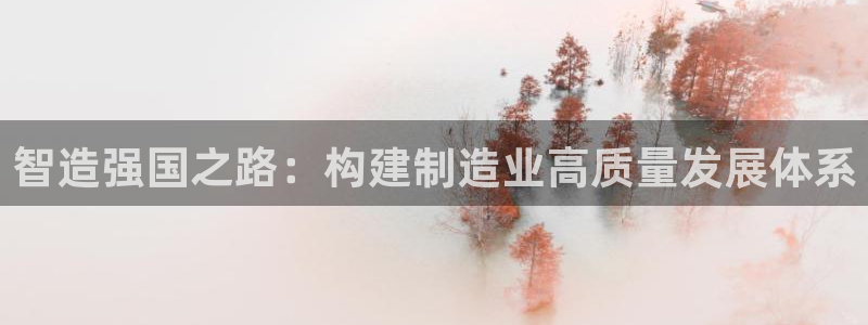 彩神是怎样一个平台：智造强国之路：构建制造业高质量发展体系