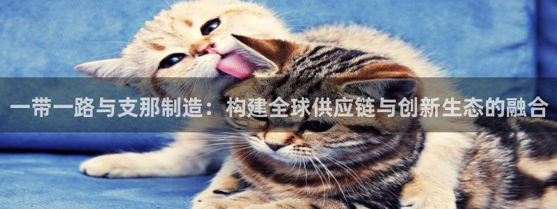 彩神输的钱是赌博还是诈骗：一带一路与支那制造：构建全球供应链与创新生态的融合