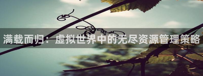 彩神app能挣到钱吗：满载而归：虚拟世界中的无尽资源管理策略