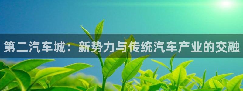 彩神v8是一个什么平台：第二汽车城：新势力与传统汽车产业的交融