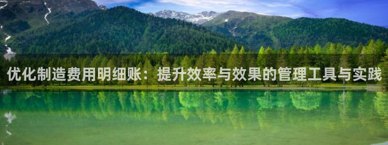 彩神ix官网是哪个公司的：优化制造费用明细账：提升效率与效果的管理工具与实践