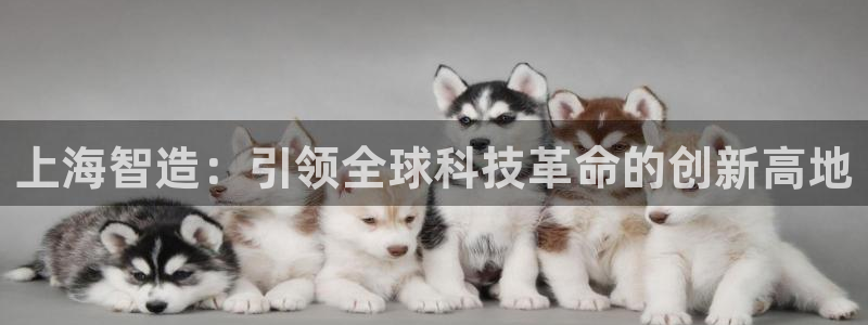 彩神v8是一个什么平台啊：上海智造：引领全球科技革命的创新高地