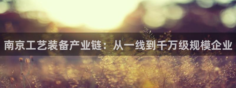 下载彩神v8：南京工艺装备产业链：从一线到千万级规模企业