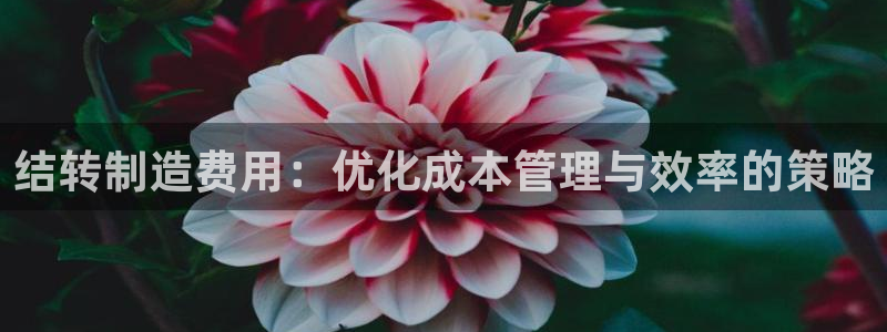 彩神大发官网：结转制造费用：优化成本管理与效率的策略