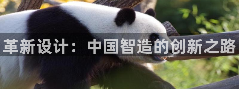 彩神x平台靠什么盈利：革新设计：中国智造的创新之路