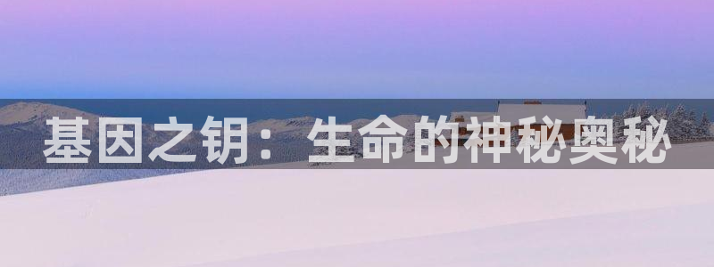 下载彩神通关注金码