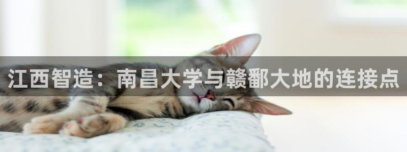 彩神velcome购彩大厅：江西智造：南昌大学与赣鄱大地的连接点