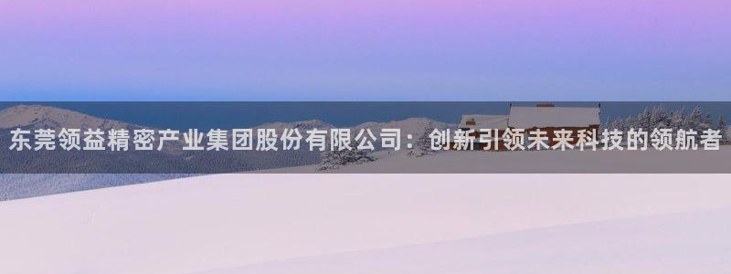 彩神是什么平台:东莞领益精密产业集团股份有限公司:创新引领未 彩神是什么平台:东莞领益精密产业集团股份有限公司:创新引领未