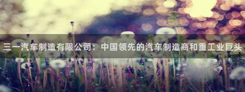 彩神iv能赚钱吗：三一汽车制造有限公司：中国领先的汽车制造商和重工业巨头