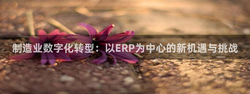 彩神客服电话：制造业数字化转型：以ERP为中心的新机遇与挑战