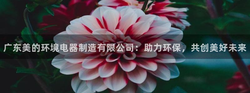 彩神v8平台正规吗可靠吗：广东美的环境电器制造有限公司：助力环保，共创美好未来