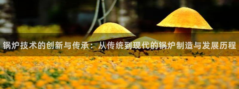 彩神v8是真的挣钱吗知乎：锅炉技术的创新与传承：从传统到现代的锅炉制造与发展历程