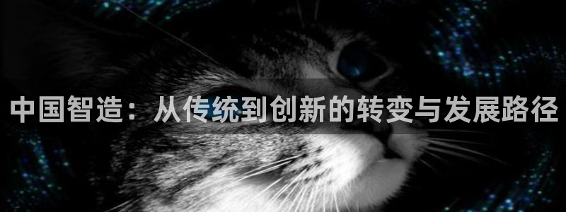 彩神购彩-购彩大厅入口计划群：中国智造：从传统到创新的转变与