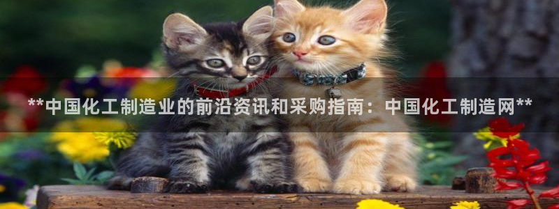 彩神viii官网：**中国化工制造业的前沿资讯和采购指南：中国化工制造网**