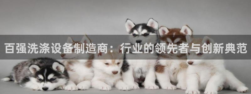 彩神是真的吗：百强洗涤设备制造商：行业的领先者与创新典范