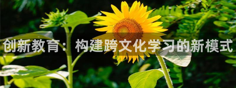 彩神趣购彩用户注册：创新教育：构建跨文化学习的新模式