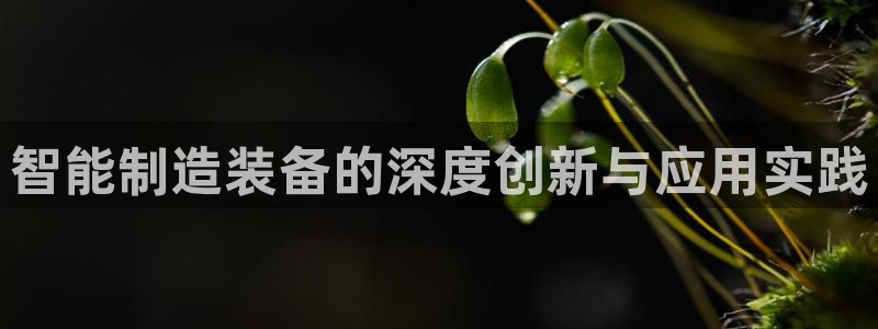 彩神用户登录：智能制造装备的深度创新与应用实践