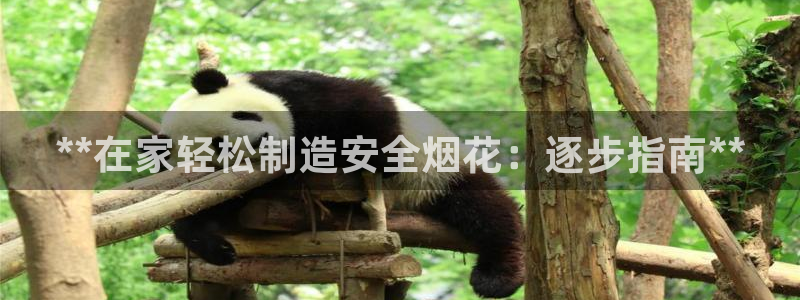 彩神vll首页环球：**在家轻松制造安全烟花：逐步指南**